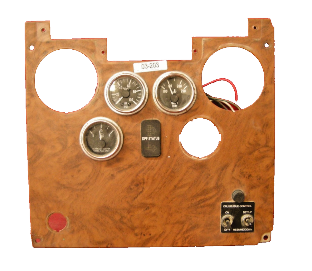 Peterbilt Dash Gauge Panel Assembly   NO RESERVE  03-203