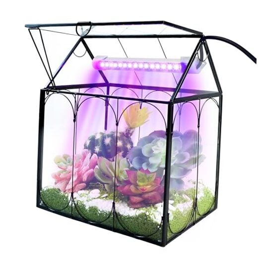 Plant Terrarium with Grow Light,  Indoor House Shape Glass Terrarium Kit with