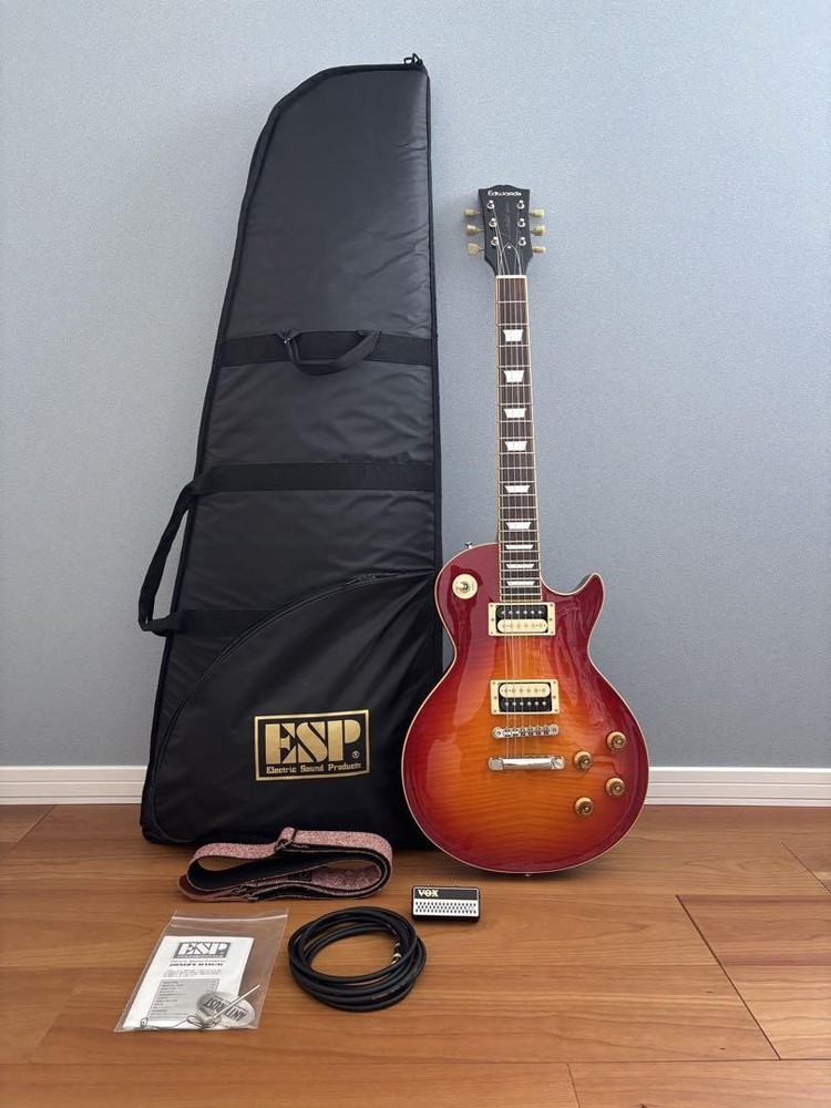 Edwards E-LPS CHS Electric Guitar Secure Shipping Case  