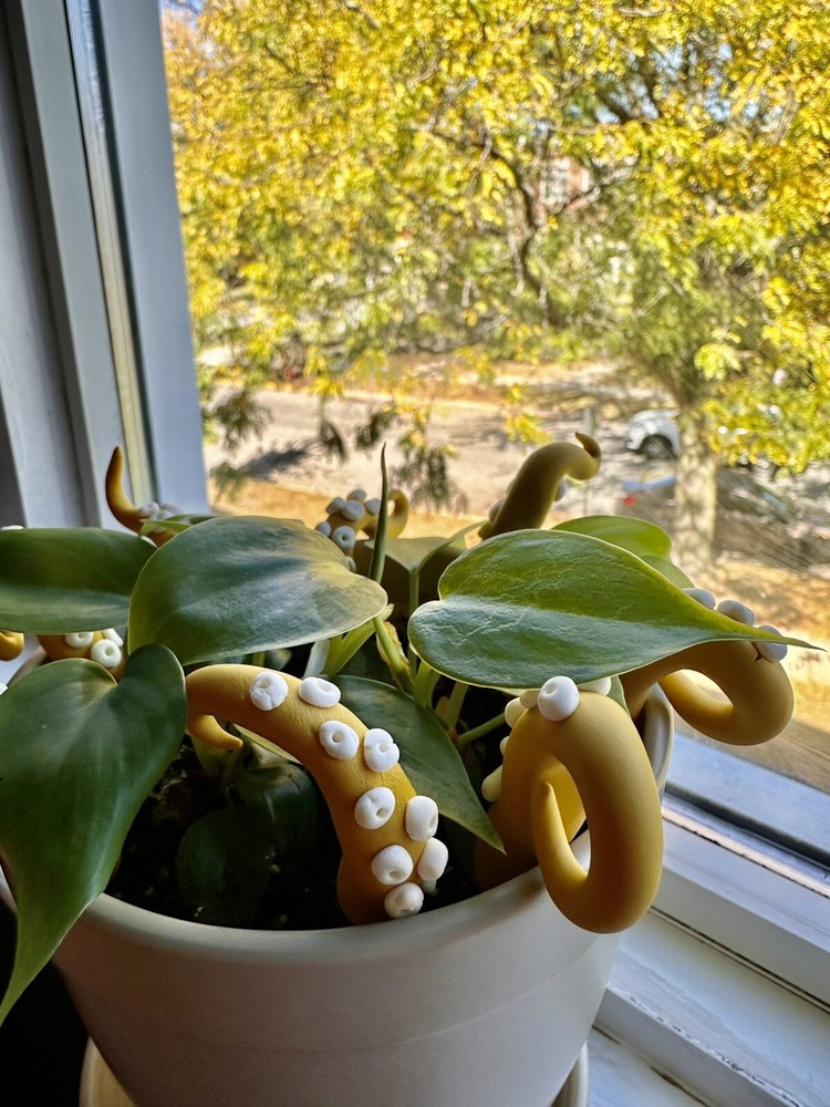 Mustard Sea Creature Tentacles Plants Decor Plant Friend, Spring Octopus