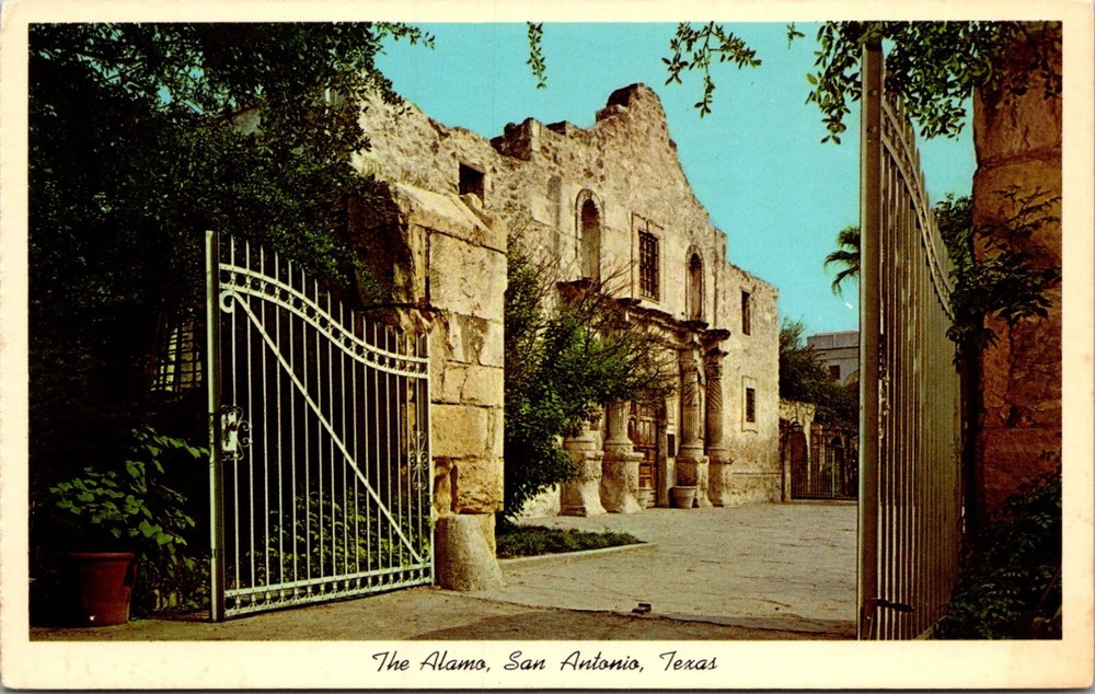 Postcard The Alamo The Shrine of Texas Liberty San Antonio Texas TX