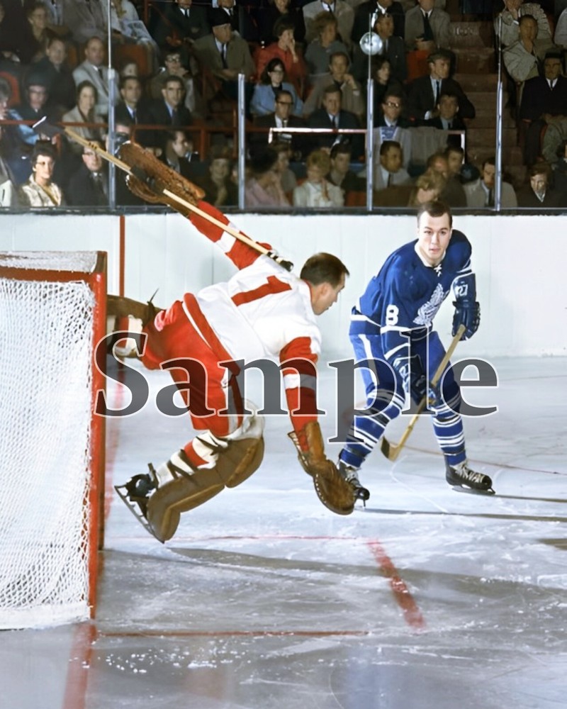 Detroit Red Wings Goalie Roger Crozier Game Action Color  8 X 10 Photo Picture