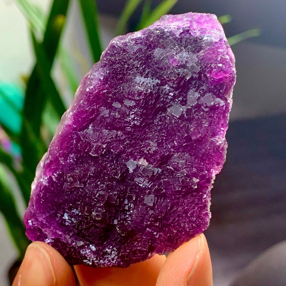 74G Natural Transparent Purple Cubic Fluorite Crystal Mineral Specimen from China