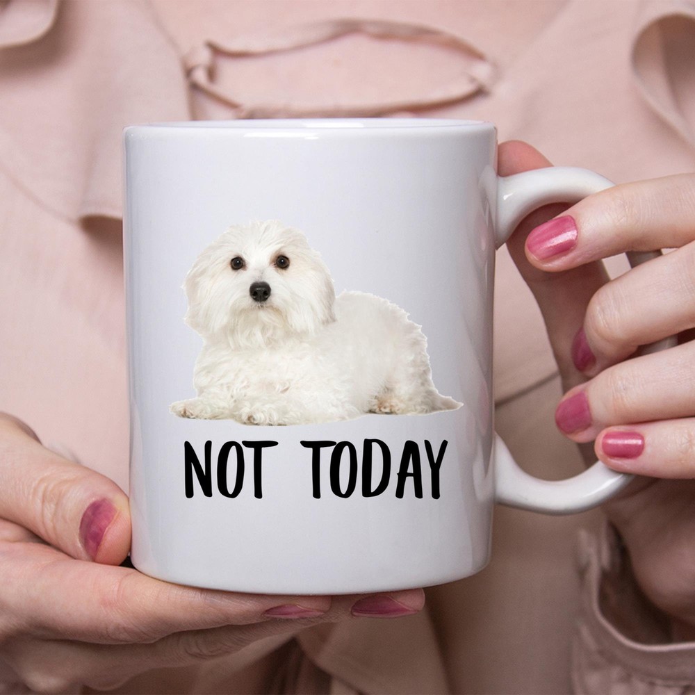 Coton de Tulear Mug Funny Dog Lazy Not Today Gift for Dog Moms  
