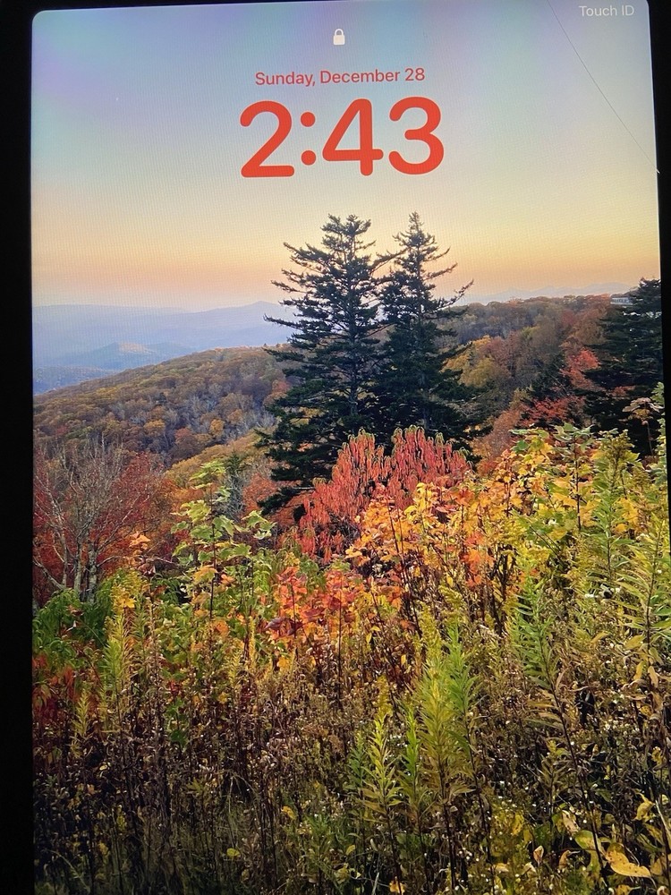 Apple iPad Air 4th Generation 256GB with Case and Keyboard Bundle