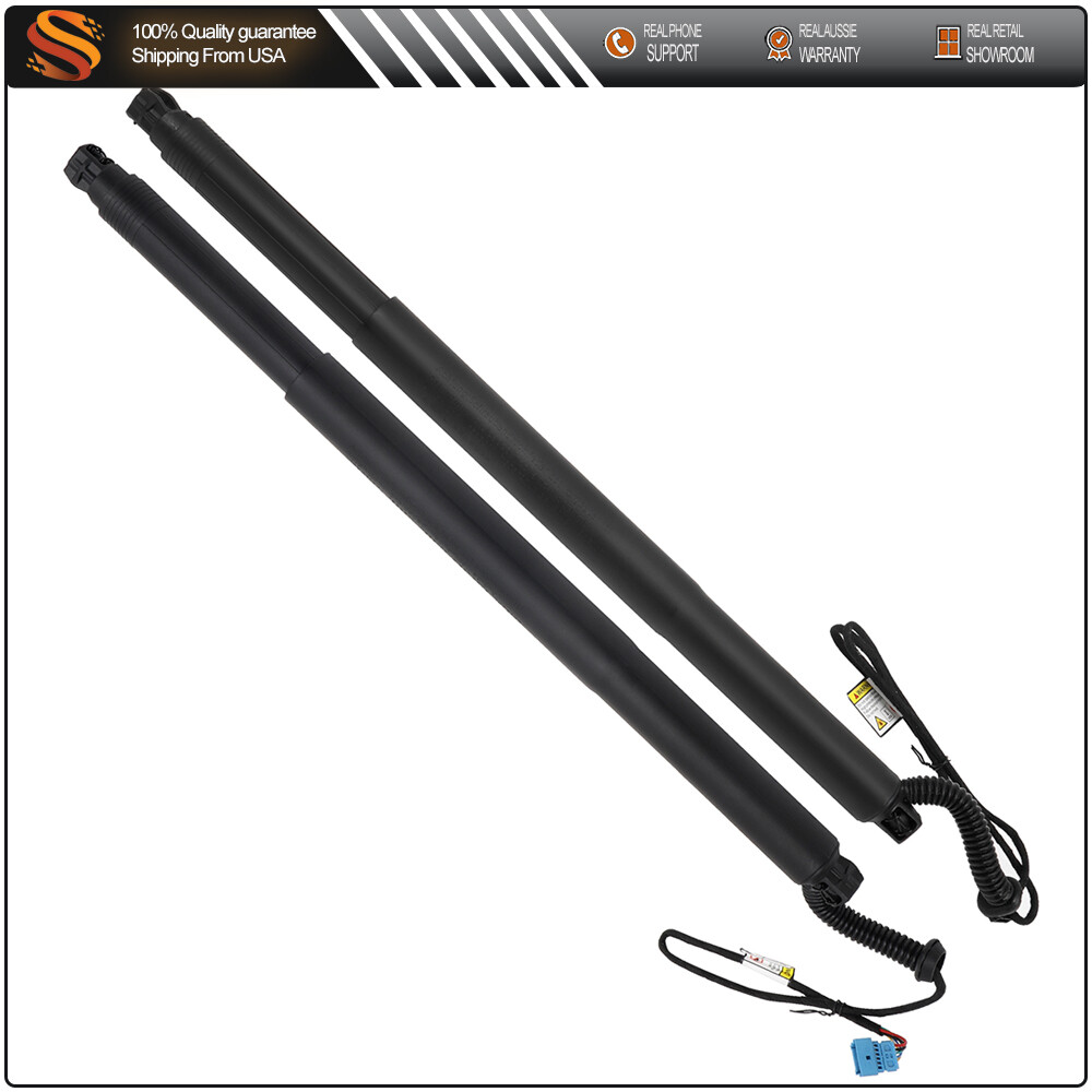 2Pcs Lift Support Gas Struts for BMW X4 2015-2018 Hood or Trunk Shocks