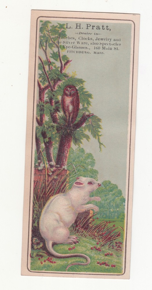 L H Pratt Watches Clocks Jewelry Fitchburg MA Rat Owl Vict Card c1880s
