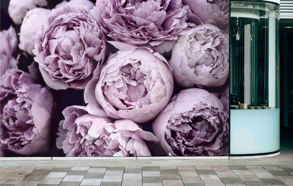 3D Retail Peony Plants Close-up Wall Murals Wallpaper Murals Wall Sticker 2