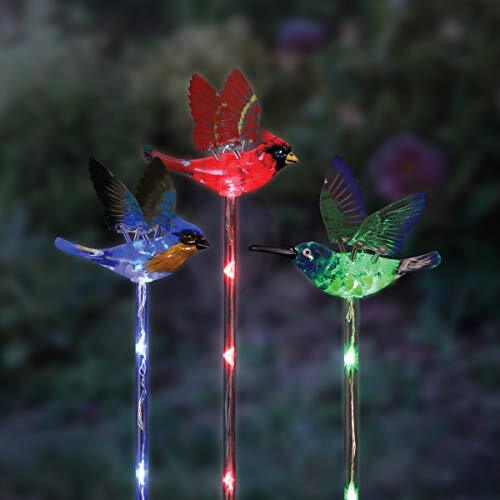 Solar WindyWing Garden Stake Set of Cardinal, Hummingbird and Blue Bird with Col