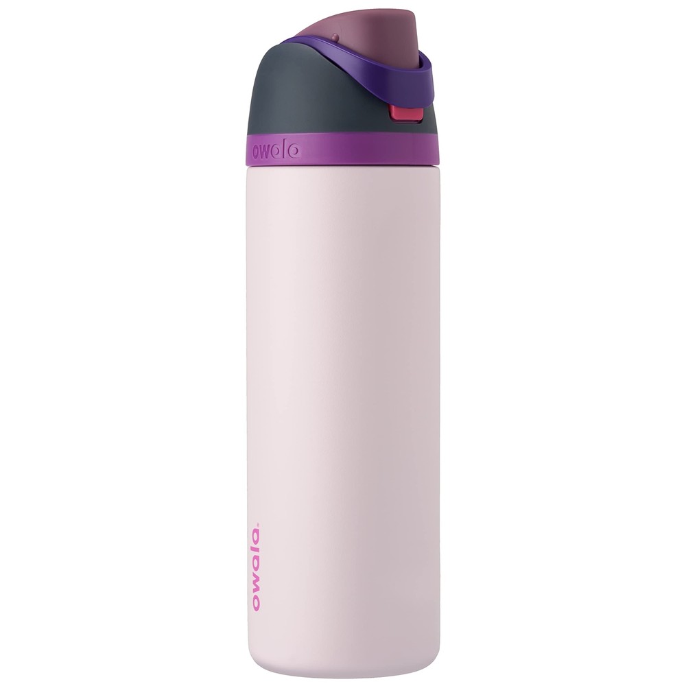 Freesip Insulated Stainless Steel Water Bottle with Straw for Sports Travel Gym