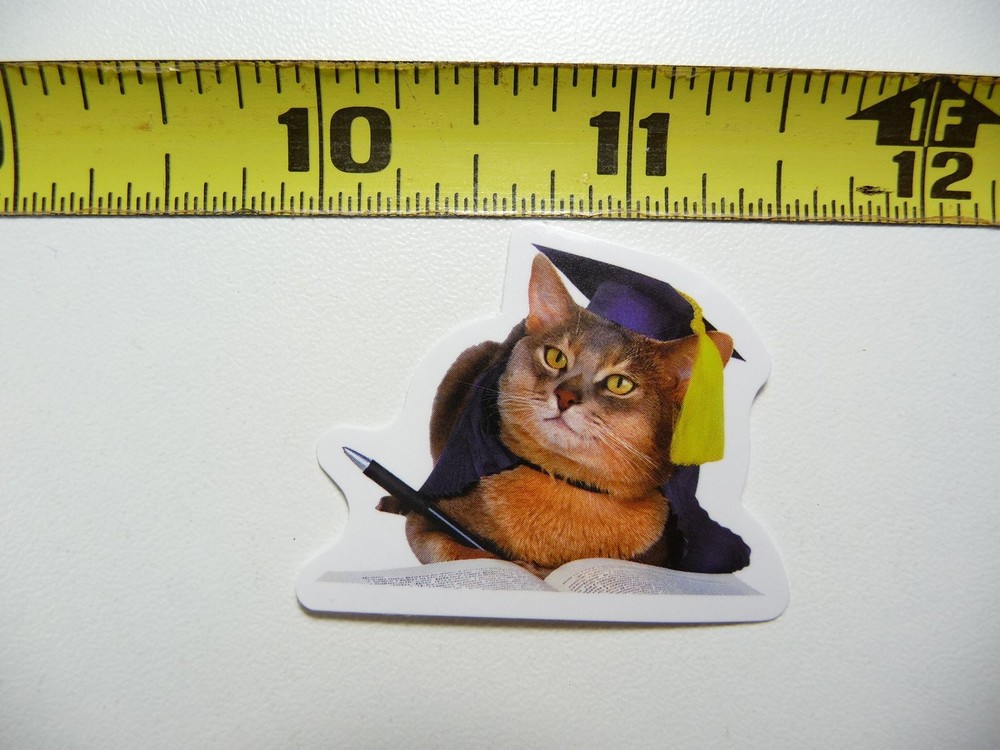 Cute Funny Cat Kitten Sticker Decal for School Laptop Notebook Pet Lovers