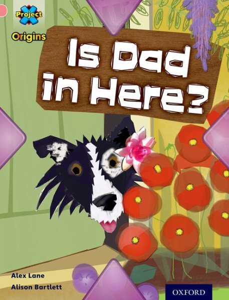 Project X Origins: Pink Book Band, Oxford Level 1+: My Family: Is Dad in Here...