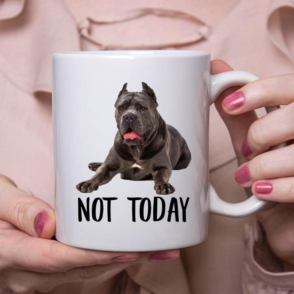 Funny Cane Corso Lying Not Today Dog Mug Lazy Gift For Women Dogs Mom Coffee Mug