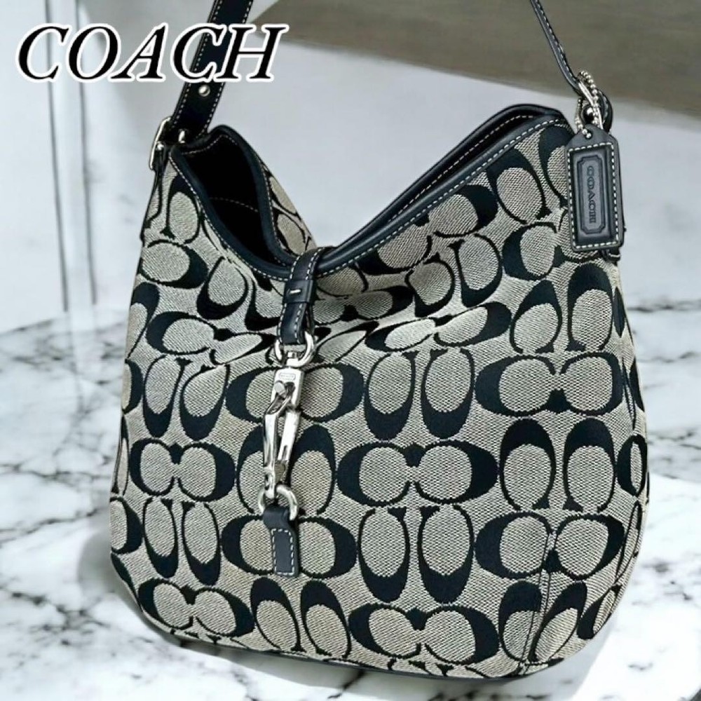 Coach Signature Canvas Shoulder Bag in Black - Authentic G04213149