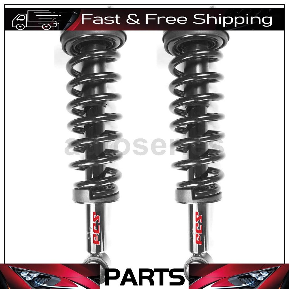 2 Front Strut and Coil Springs Assembly Fits Ford F-150 RWD 4.6L 2004