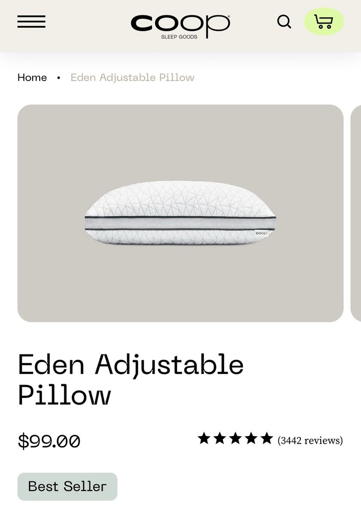 Coop Home Goods Eden Bed Pillow Queen Size for Ultimate Comfort and Support