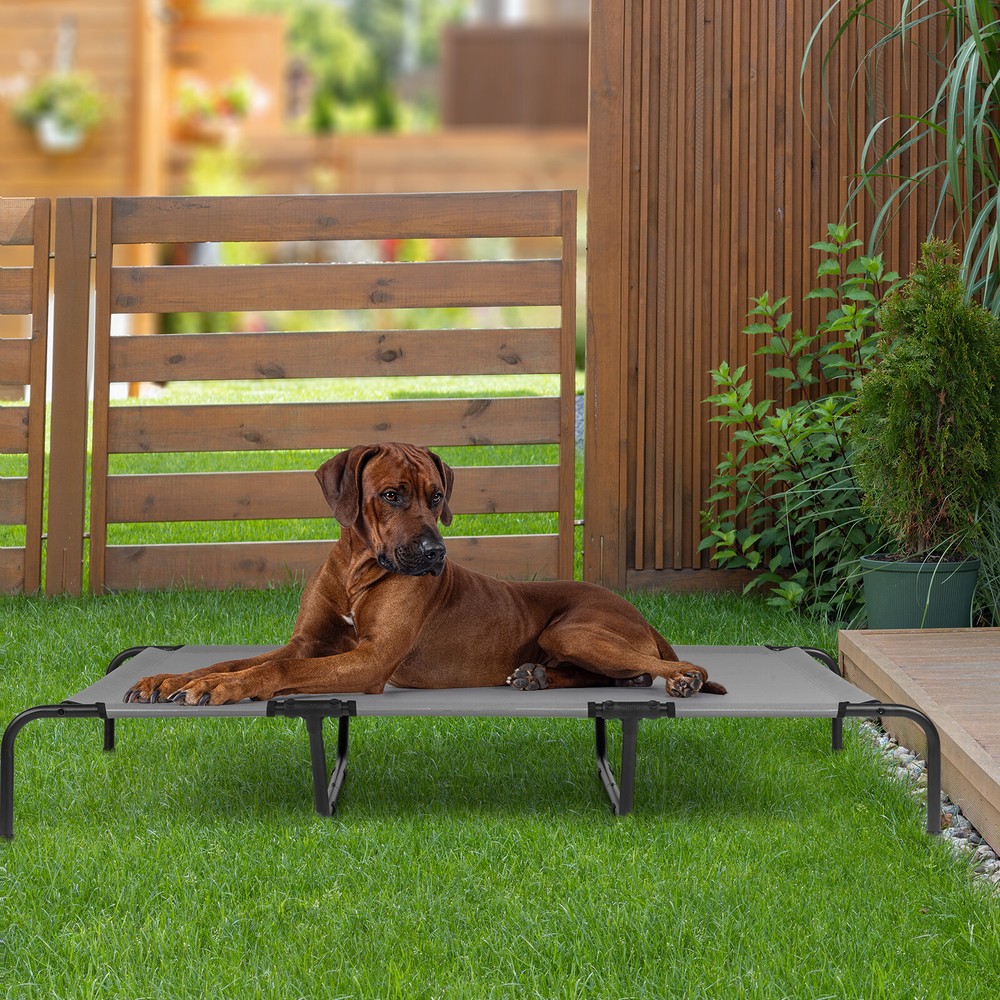 60 Inch Elevated Dog Bed with Steel Frame for Indoor Outdoor Use