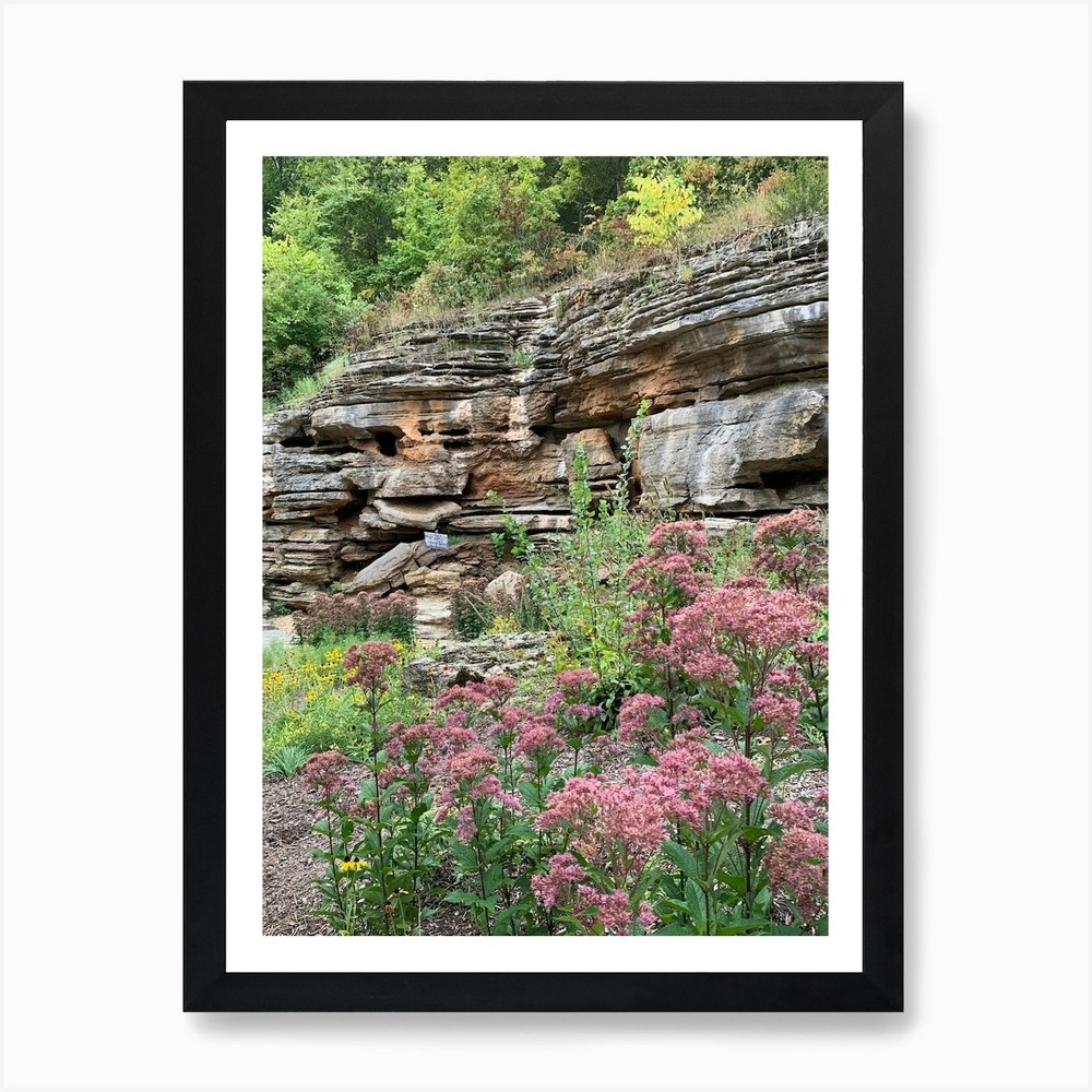 Rock Garden Art Print Framed Wall Art Poster Canvas Print Picture