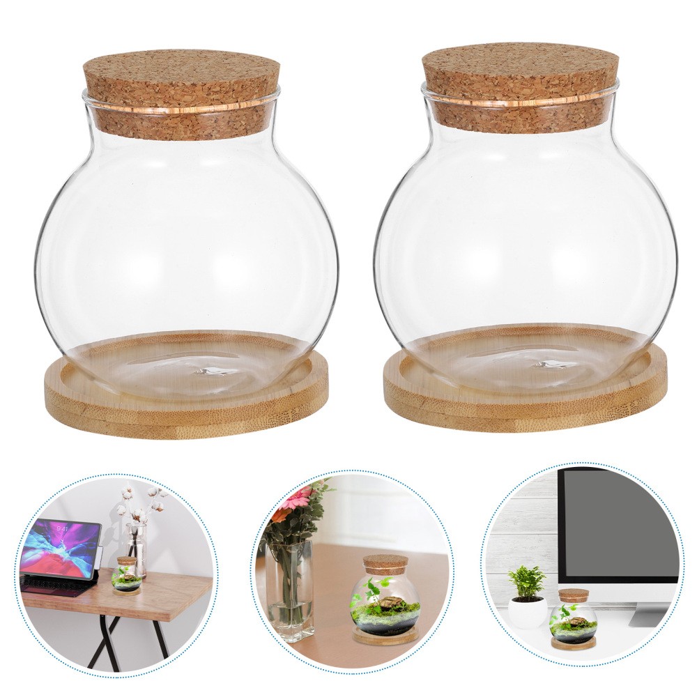 Hydroponic Glass Vase Set with Terrarium for Betta Fish Office Decor