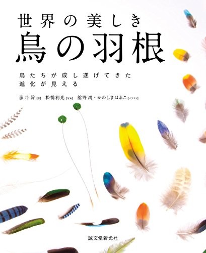 Beautiful Bird Feathers of The World: Photo Collection Book Japan book form JP