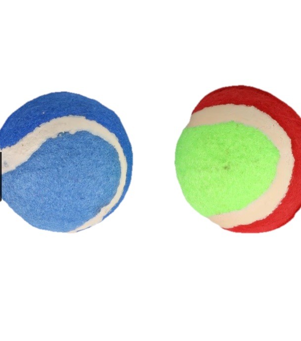 Heavy Duty 3.5 Inch Tennis Ball Dog Toys 2-Pack for Interactive Play