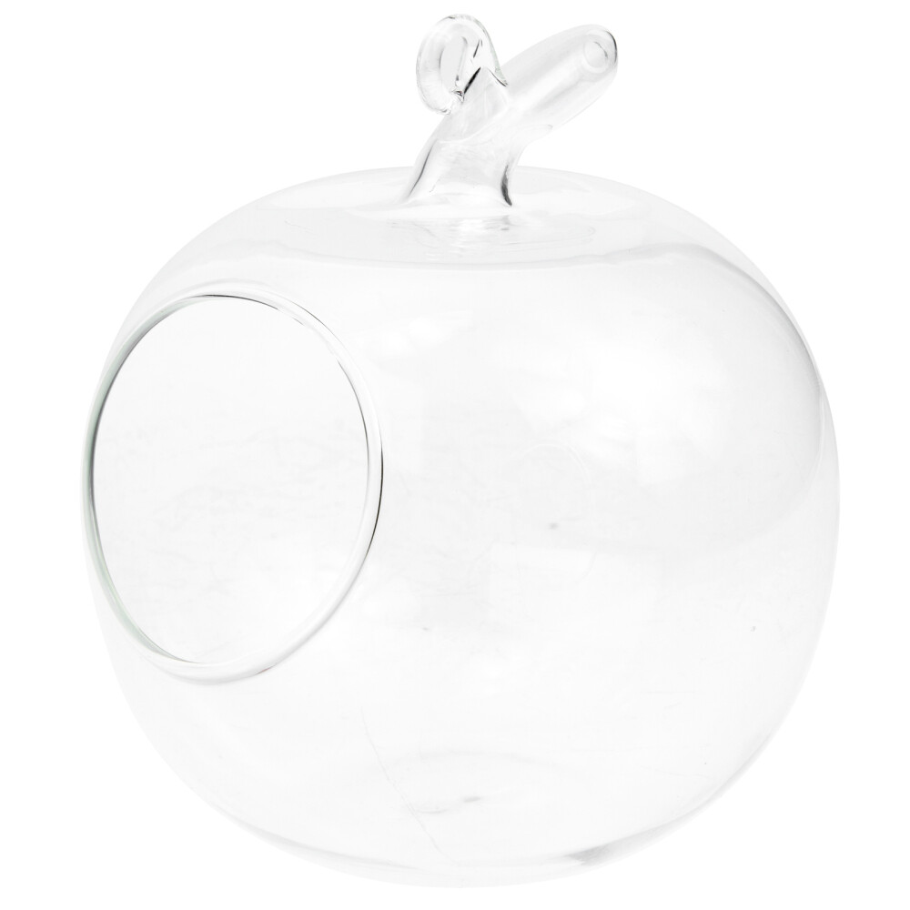 Unique Plants Micro Landscape Container Decorative Bottle Work