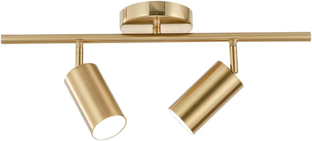 Lighting Modern 2-Light Gold Track Lighting Fixture Flush Mount Brushed Brass Tr