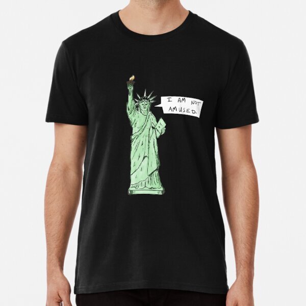 Lady Liberty is not amused Bipartisan Political Made in USA T-Shirt S-5XL