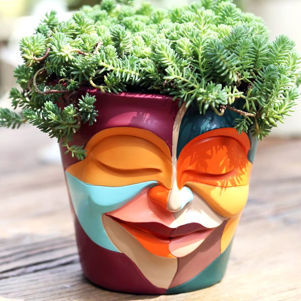 Abstract Rainbow Face Planter with Drainage Hole Unique IndoorOutdoor Flower Pot