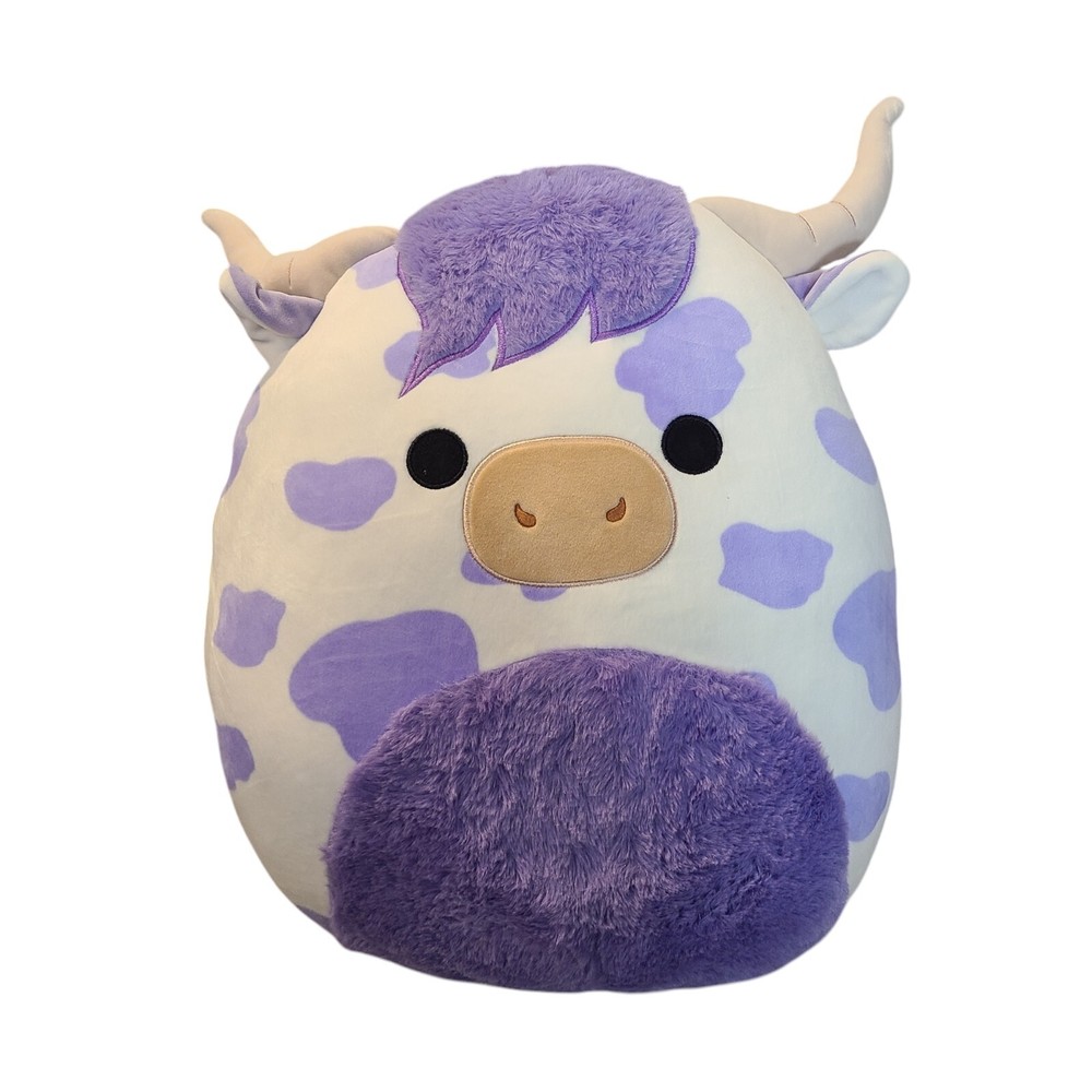 NWT Squishmallows 16
