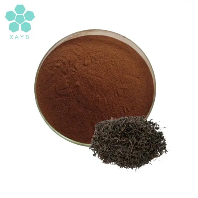 Instant Black Tea Extract Powder Natural Tea Powder for Beverages and Cooking