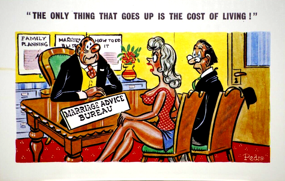 Postcard Seaside Comic Saucy Risqué Family Cost of Living Sunny Pedro Series 178