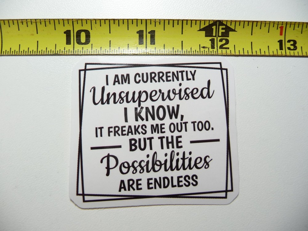 UNSUPERVISED FREAKS ME OUT POSSIBILITY ENDLESS DECAL STICKER FUNNY SARCASM
