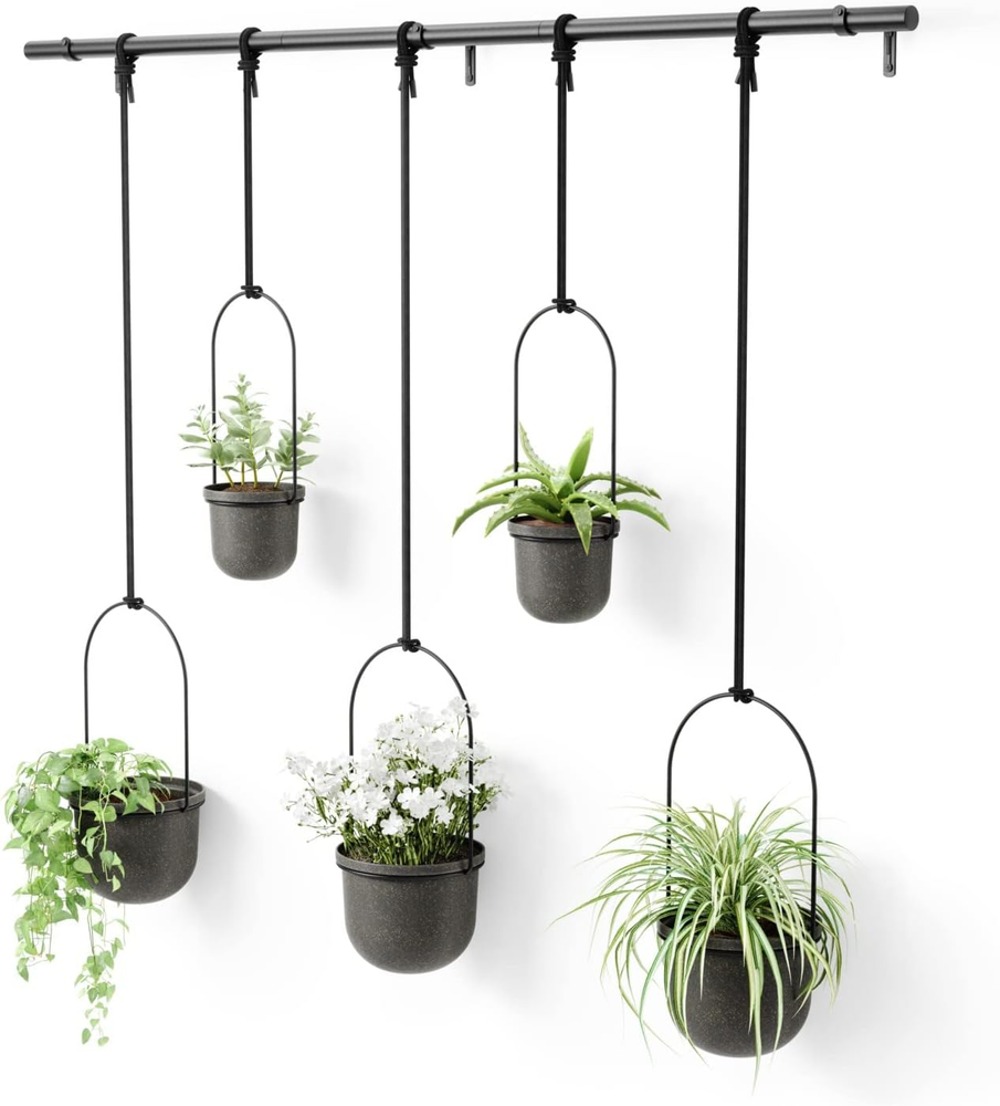 Triflora Hanging Planter for Window, Indoor Herb Garden, Set of 5, Black