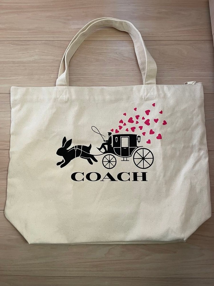 Stylish Coach Signature Tote Bag for Women