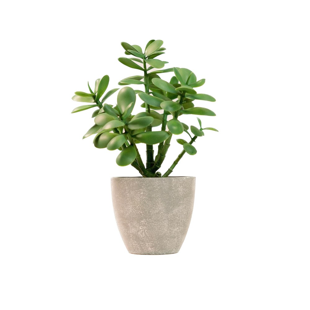 Luxury 12 Inch Artificial Jade Potted Plant Faux Succulent Home Decor