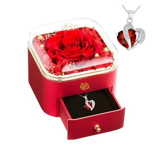 Preserved Flower in A Box -Preserved Rose Last for Over 1 Year Gift for Red