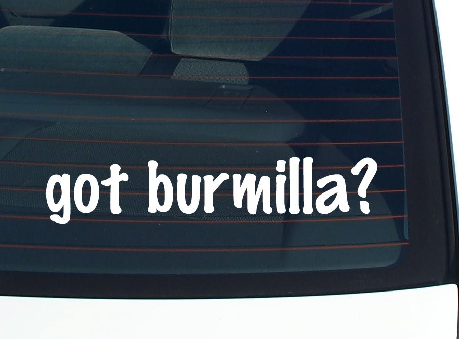 Got Burmilla Cat Lover Vinyl Decal Bumper Sticker Funny Window Art