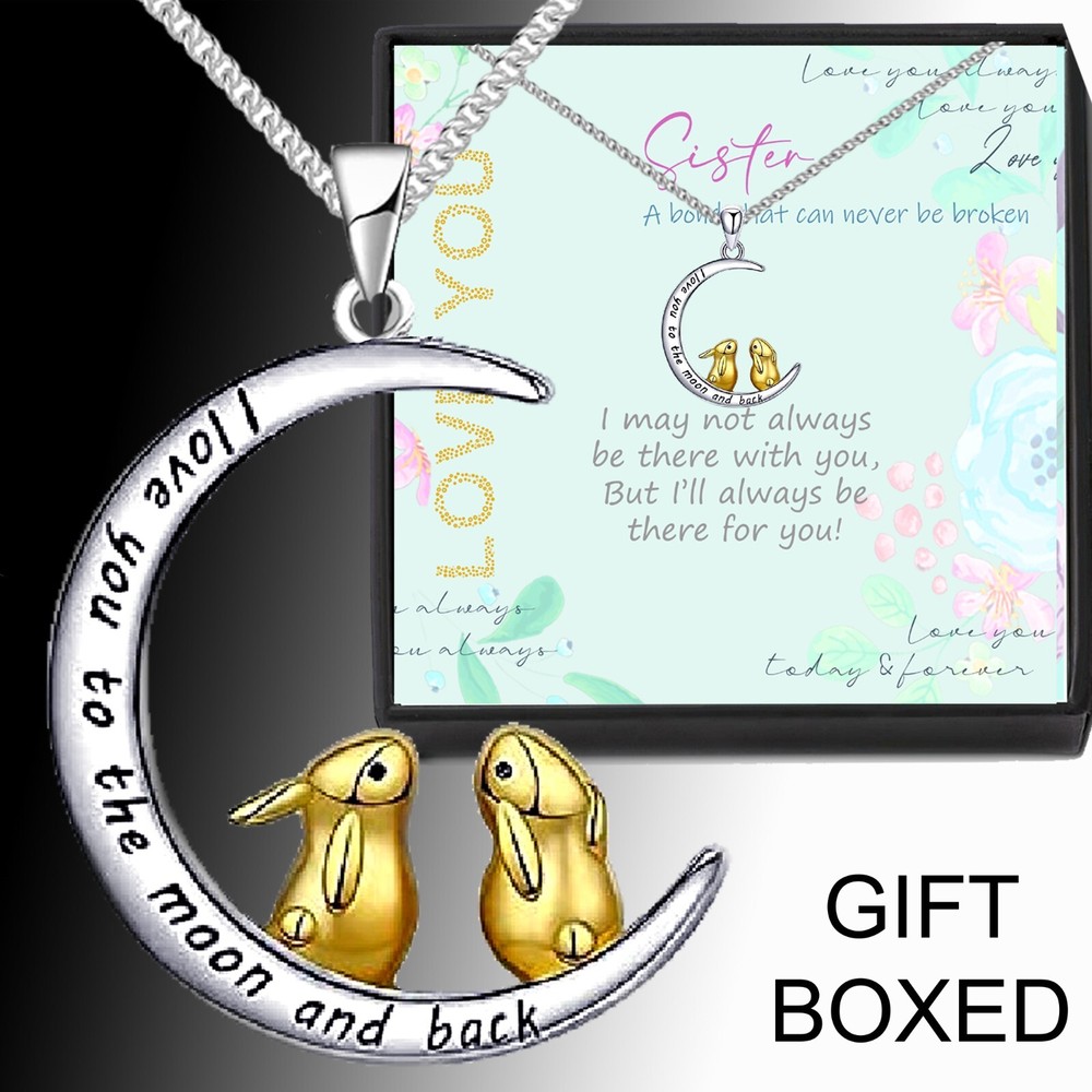 Sister Silver Crystal Necklace Pendant Gift Message from Sis Brother LOve you