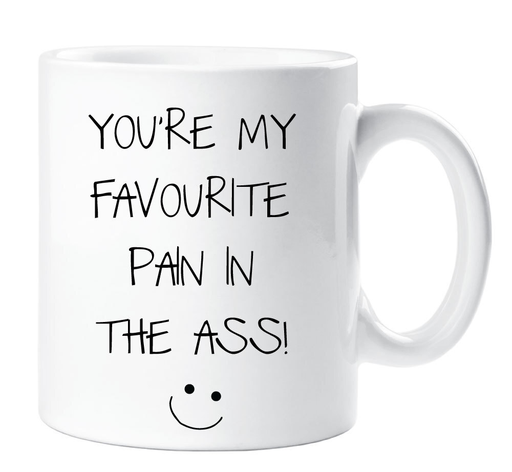 Best Funny Mug – You're My Favorite Pain in the Ass Ceramic Cup Gift  