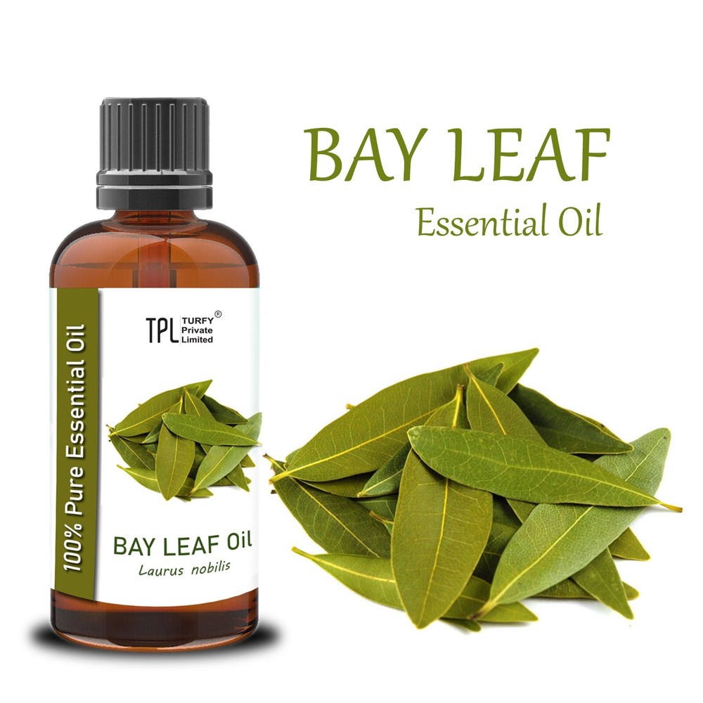 100% Pure Natural Bay Leaf Essential Oil 50ml Therapeutic Grade