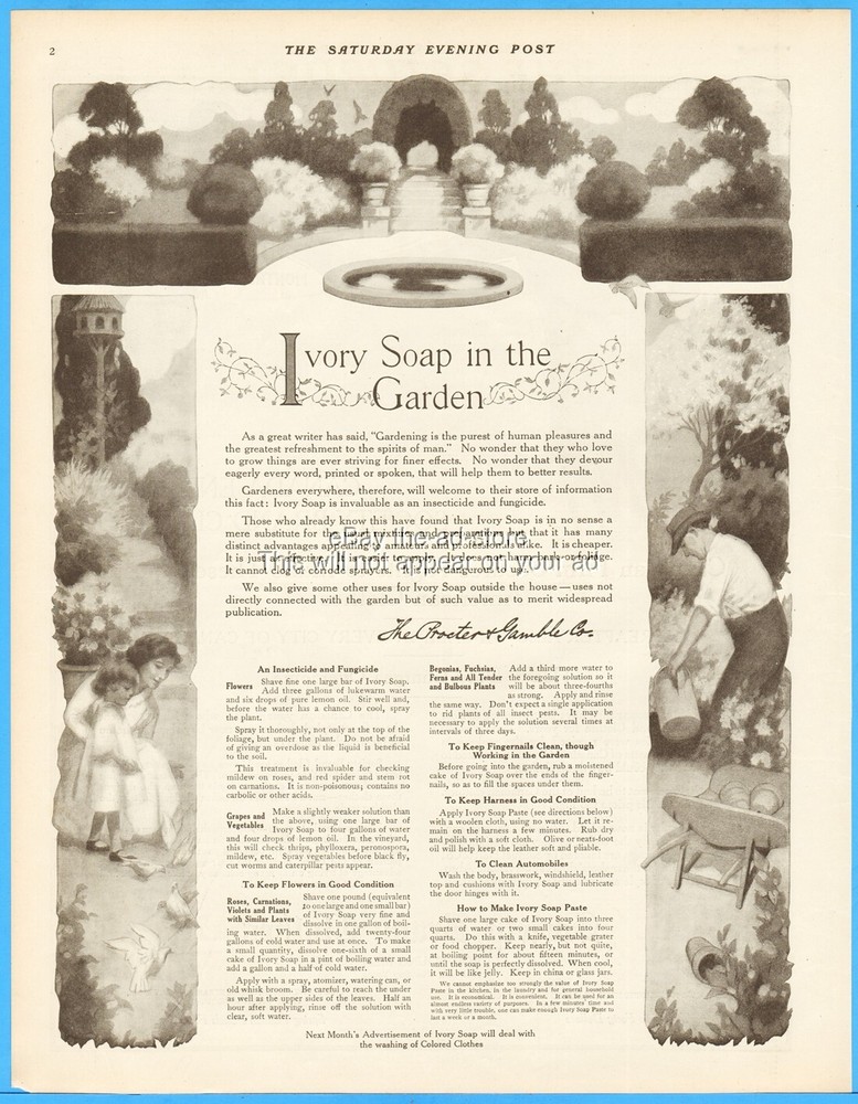 1912 Ivory Soap P&G Gardening Garden Insecticide Fungicide Proctor Gamble Ad