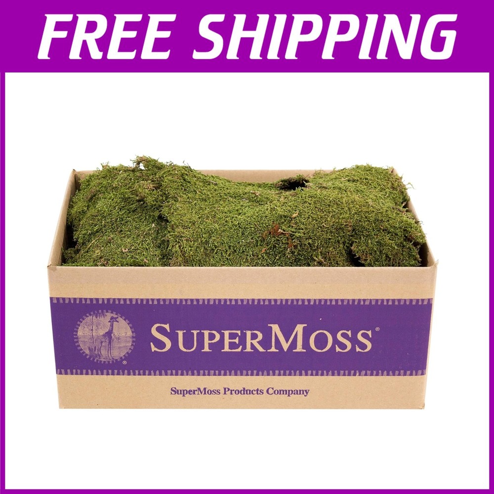 5 lbs Preserved Sheet Moss - Natural Accent for Crafting & Gardening