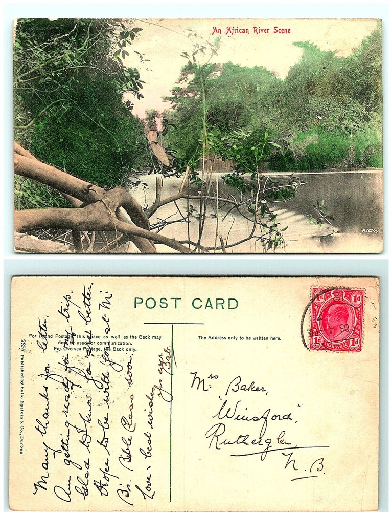 1908 Transvaal South Africa vintage postcard with River postmark S02-1565