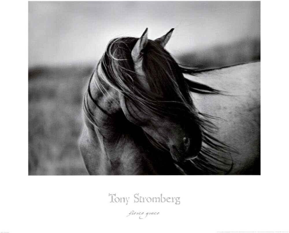 Fierce Grace by Tony Stromberg Art Print Poster 24