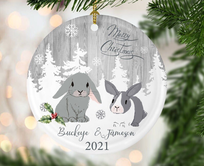 Custom Rabbit Ornament, Personalized Bunny Gift, Bunny christmas, Gift for Bu...