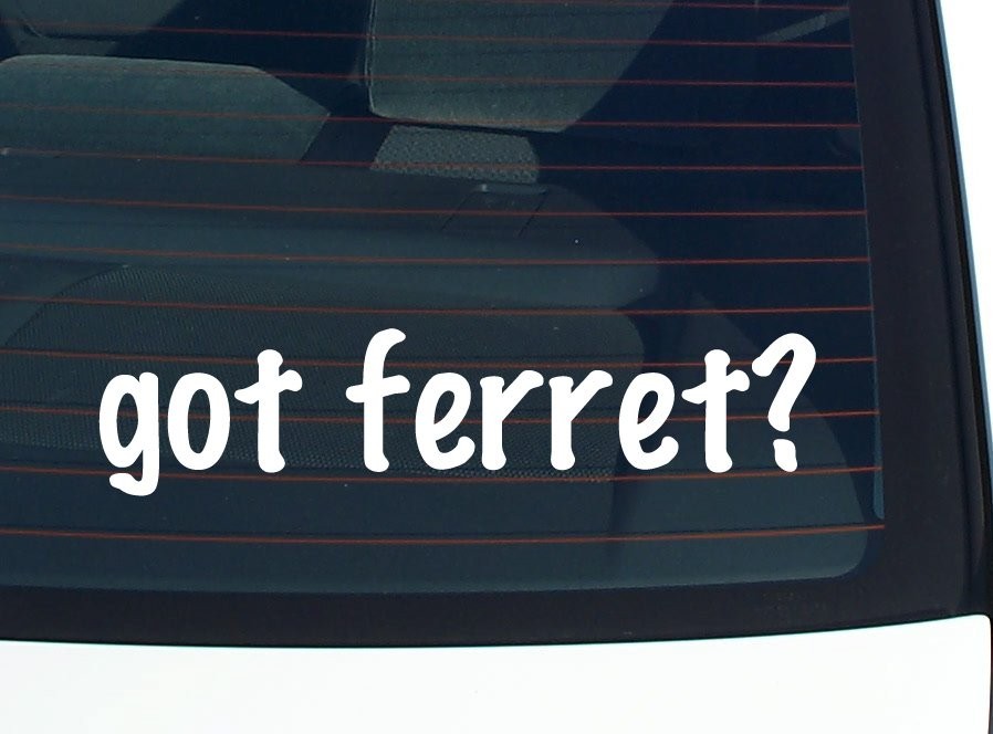Got Ferret Funny Vinyl Car Decal Bumper Sticker