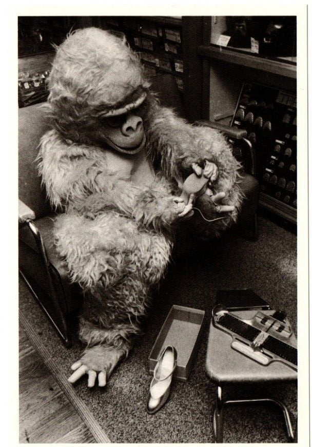 Gorilla in Woman's Shoe Store Postcard 1980 by Mark Chester American Postcard Co