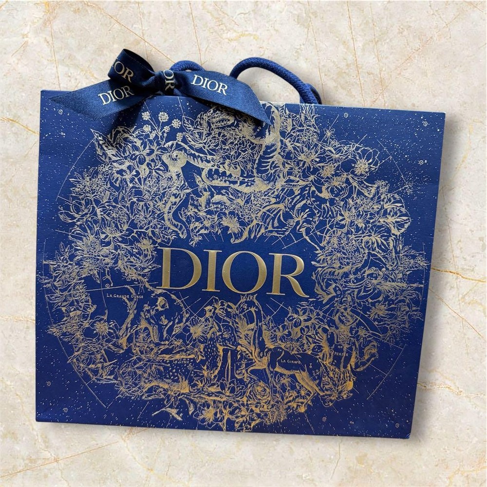 Dior Paper Bag Shopper with Elegant Ribbon Detail