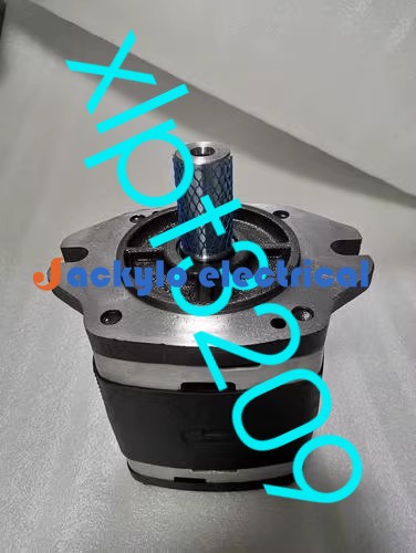 NEW VOITH IPV6-64-101 IPV6-64 101 gear pump FedEx or DHL